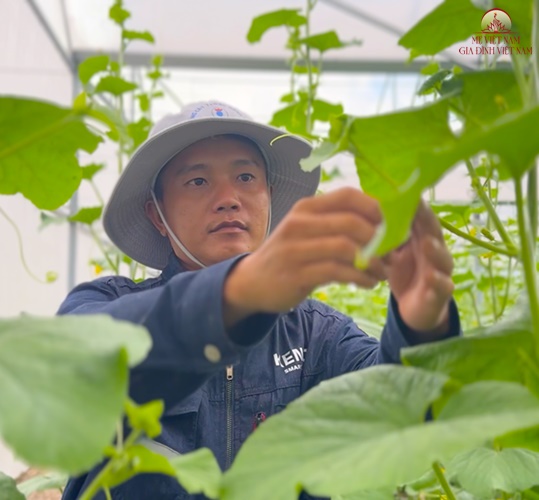 Read more about the article Bỏ việc công ty, chàng trai 8X kiếm tiền tỷ nhờ trồng dưa lưới giữa vùng đô thị hoá